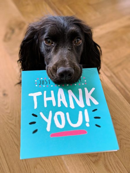 Dog holding thank you card