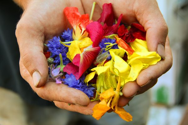 Offering Flowers