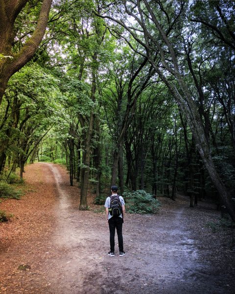 Man Facing Choice Of Paths In Forest